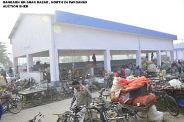 Auction Platform,Bongaon Krishak Bazar