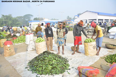 Godown,Bongaon Krishak Bazar