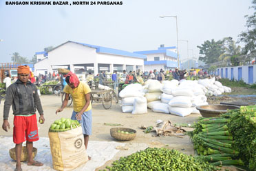 Open Market Shed,Bongaon Krishak Bazar
