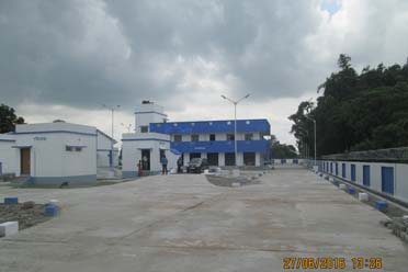 Weigh Bridge,Haldibari Krishak Bazar