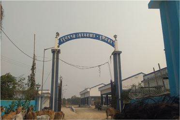 Godown,Raghunathganj-I Krishak Bazar