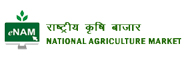 e-NAM Logo