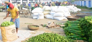 Activities of Krishak Bazar